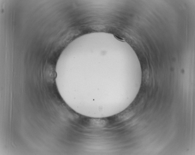 X0000088840234200707051455