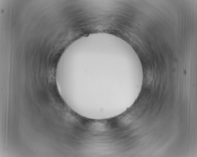 X0000088840236200707051455