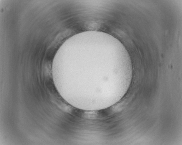 X0000088840240200707051455