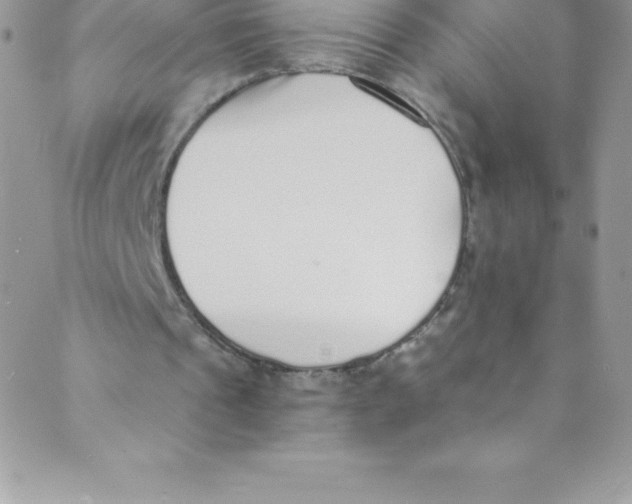 X0000088840241200707051454