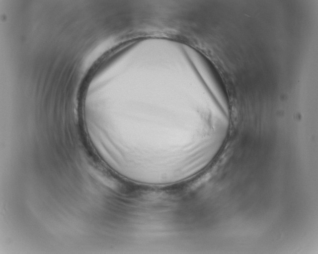 X0000088840246200707051454