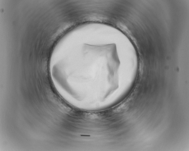 X0000088840249200707051454