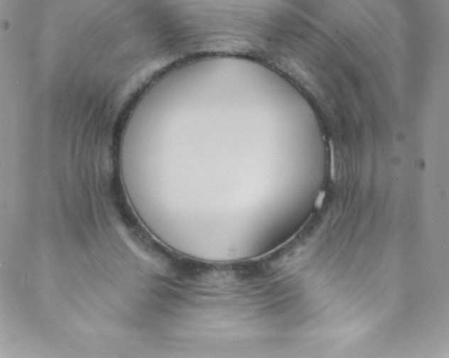 X0000088840252200707051455