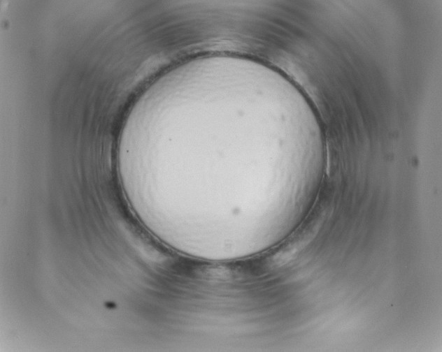 X0000088840253200707051455