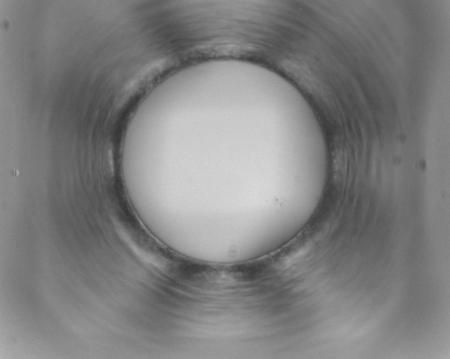 X0000088840254200707051455