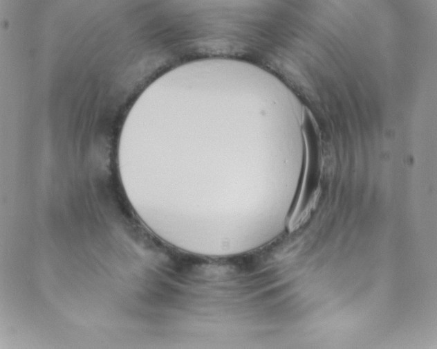 X0000088840255200707051455