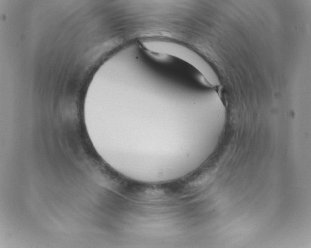 X0000088840256200707051455