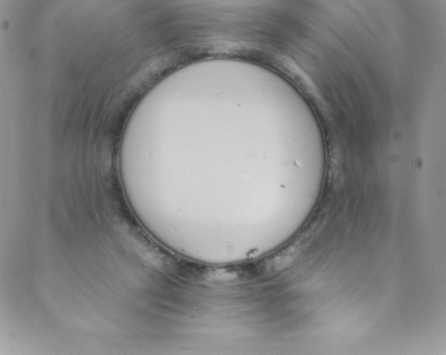 X0000088840257200707051455