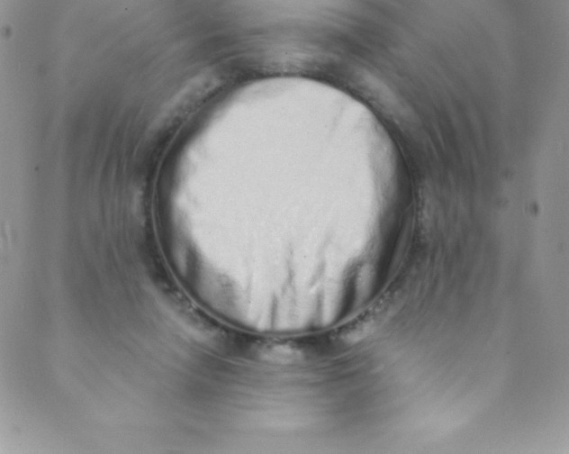 X0000088840258200707051455