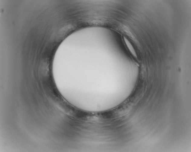 X0000088840259200707051455