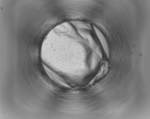 X0000088840260200707051455