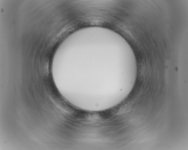 X0000088840262200707051455