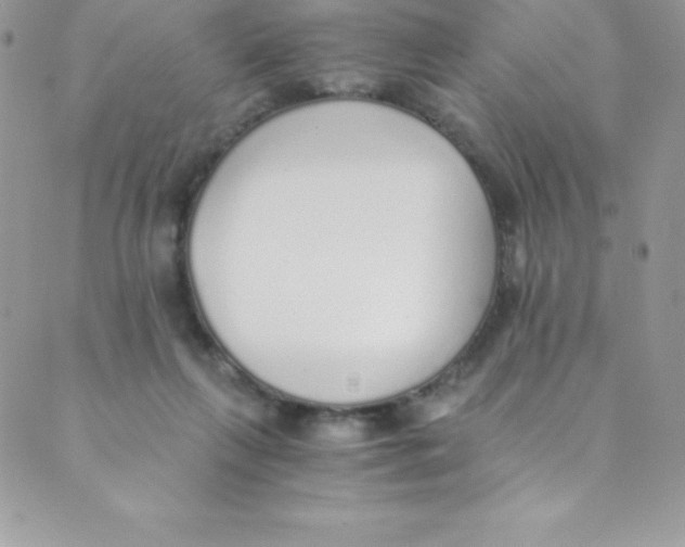 X0000088840263200707051455