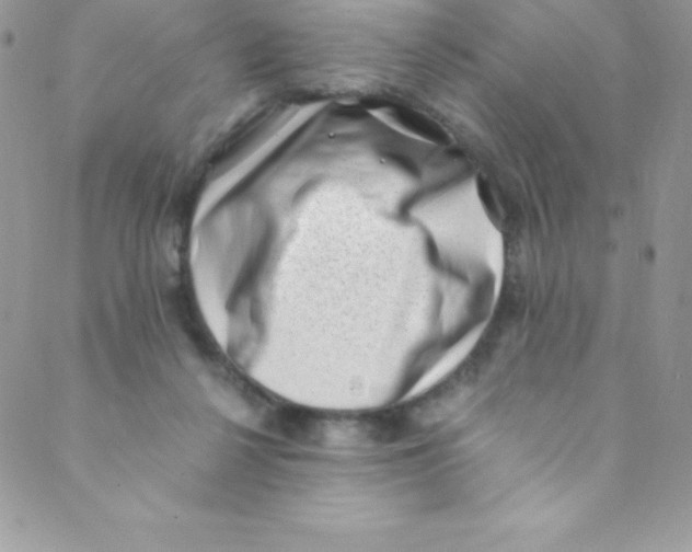 X0000088840264200707051455