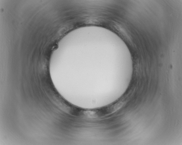 X0000088840265200707051455