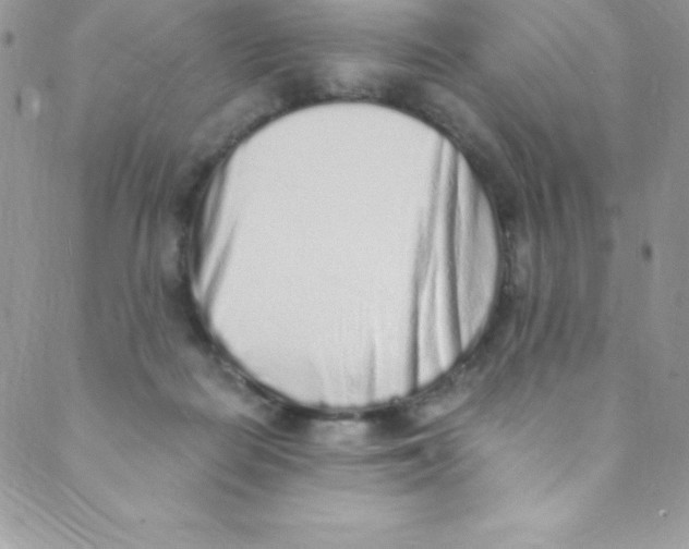 X0000088840266200707051455