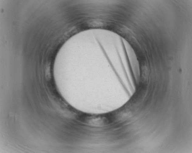 X0000088840267200707051455