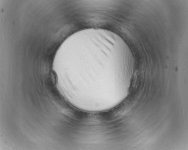 X0000088840268200707051455