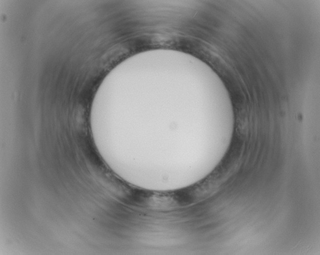 X0000088840270200707051455