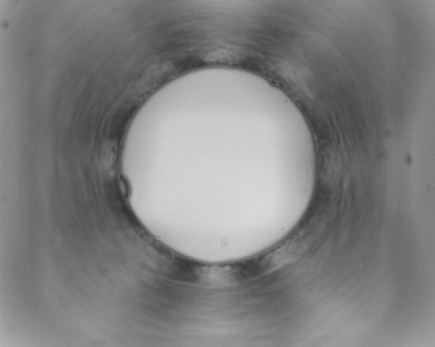 X0000088840273200707051455