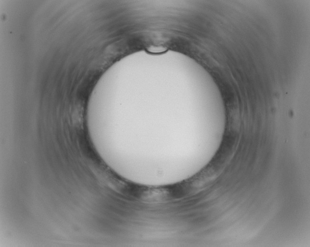 X0000088840274200707051455