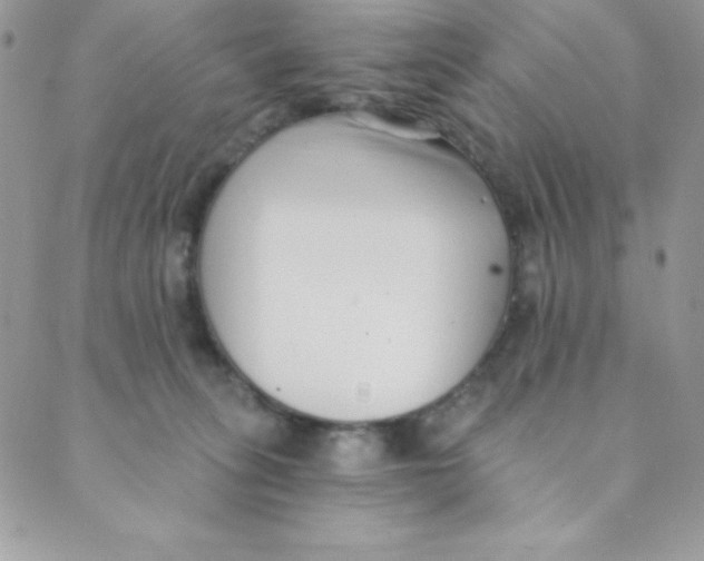 X0000088840275200707051455