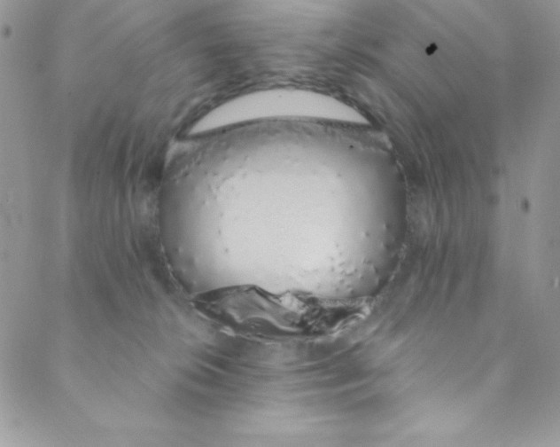 X0000088840276200707051455