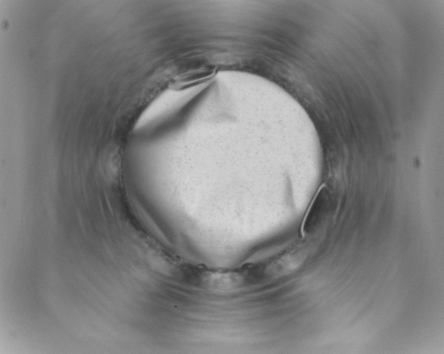 X0000088840277200707051455