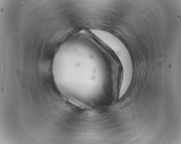 X0000088840280200707051455