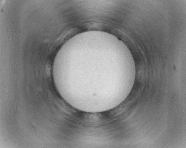 X0000088840282200707051455