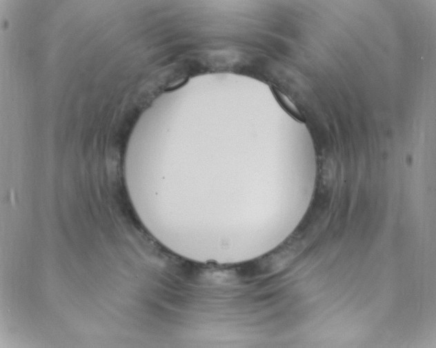 X0000088840283200707051455