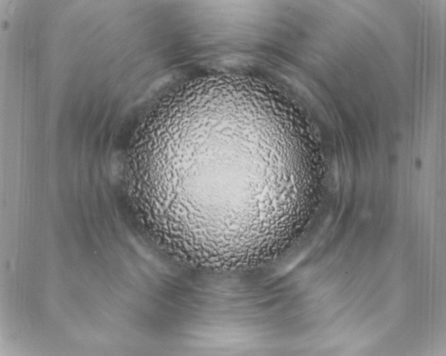 X0000088840284200707051455