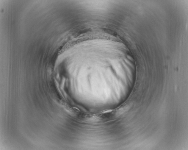 X0000088840288200707051455