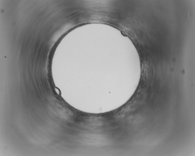 X0000088840292200707051454