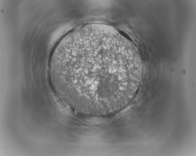 X0000088840293200707051454