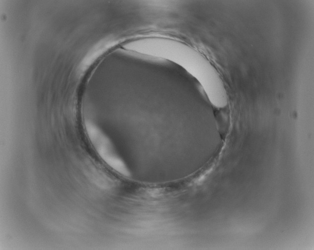 X0000088840295200707051454