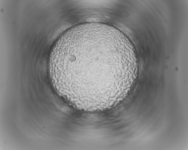 X0000088840297200707051454