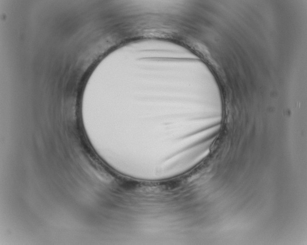 X0000088840299200707051454