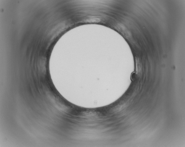 X0000088840300200707051454