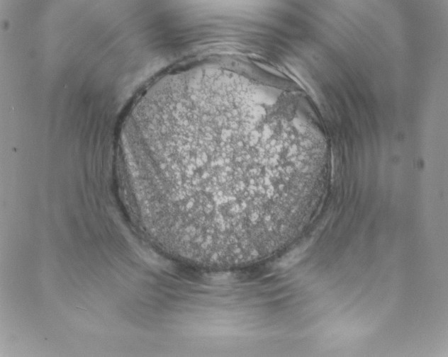 X0000088840301200707051454