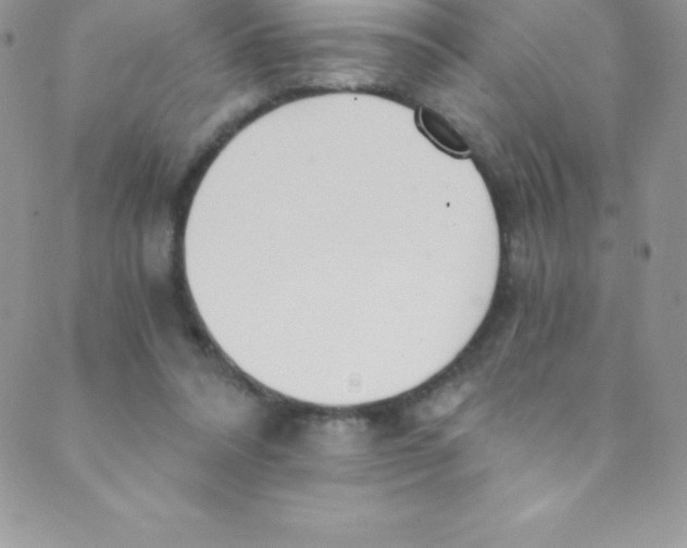 X0000088840304200707051454