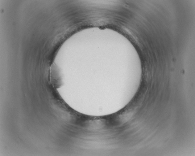 X0000088840307200707051454