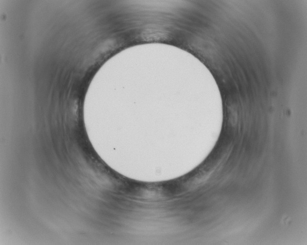 X0000088840308200707051454