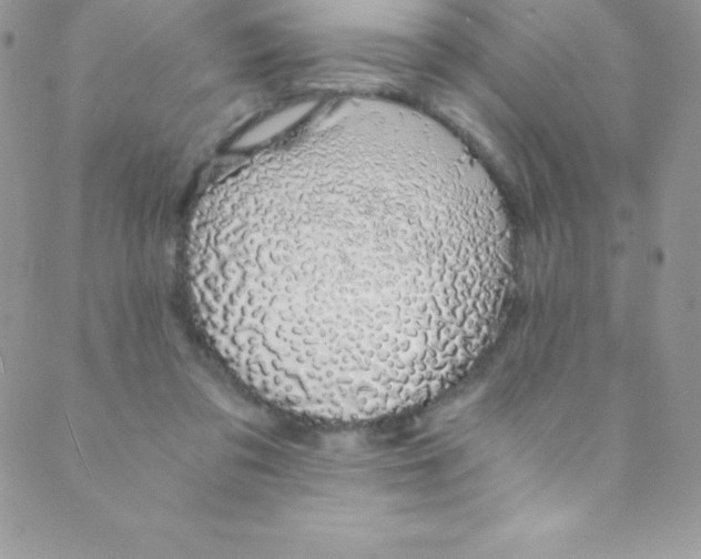 X0000088840309200707051454