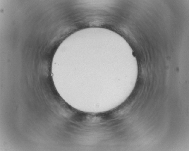 X0000088840311200707051454