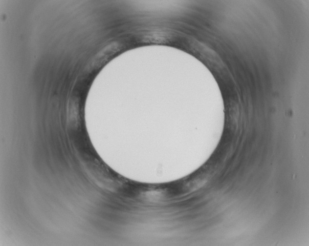 X0000088840312200707051454