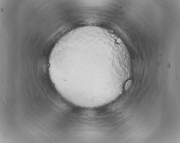 X0000088840313200707051454