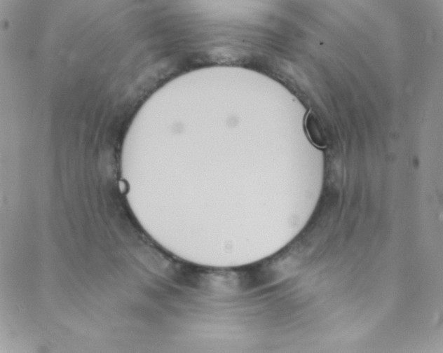 X0000088840317200707051454