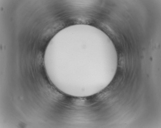 X0000088840318200707051454