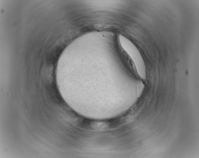 X0000088840319200707051454